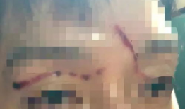 射逼视频,探索射逼视频背后的故事与启示