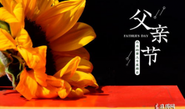 父亲节文案高级简短,感恩时光